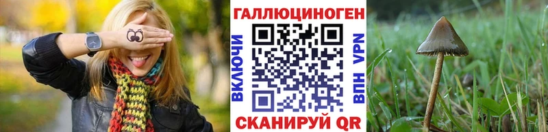 цена наркотик  Зеленодольск  блэк спрут   Псилоцибиновые грибы GOLDEN TEACHER 